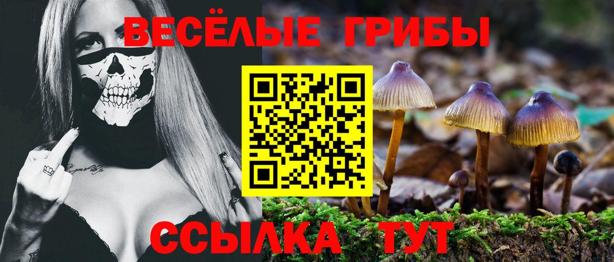Ярцево  Псилоцибиновые грибы Cubensis  Вход с VPN 